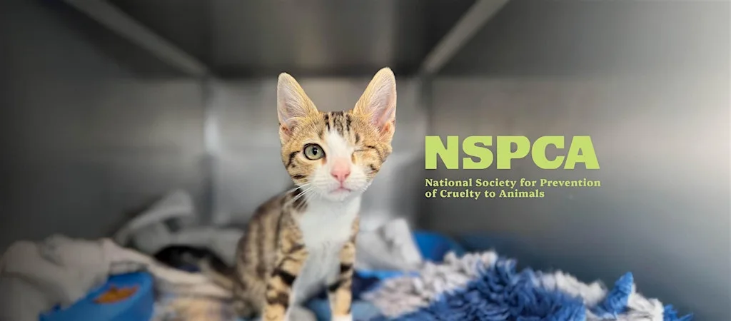 The Big Stretch at the NSPCA, August 2026 at DSPCA