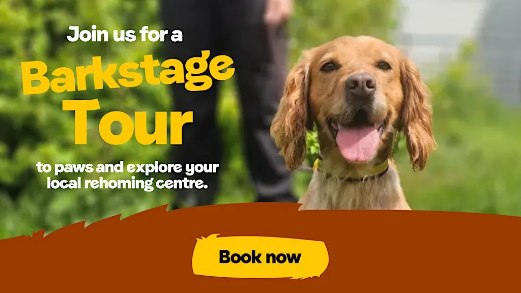 Dogs Trust Barkstage Tour Glasgow at Dogs Trust Glasgow Rehoming Centre