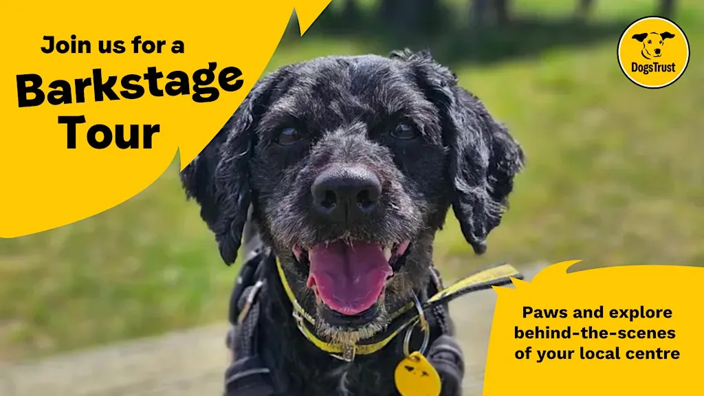 Dogs Trust Merseyside Barkstage Tour