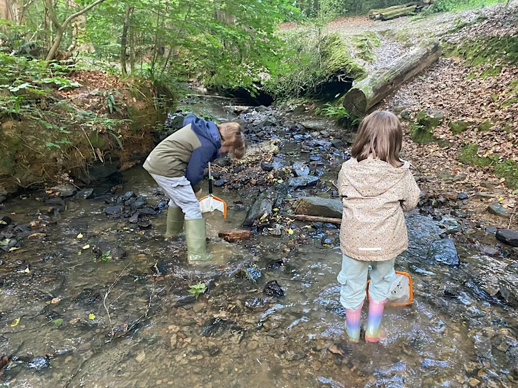 Free Summer Family Activities: Water Detectives - Tunbridge Wells