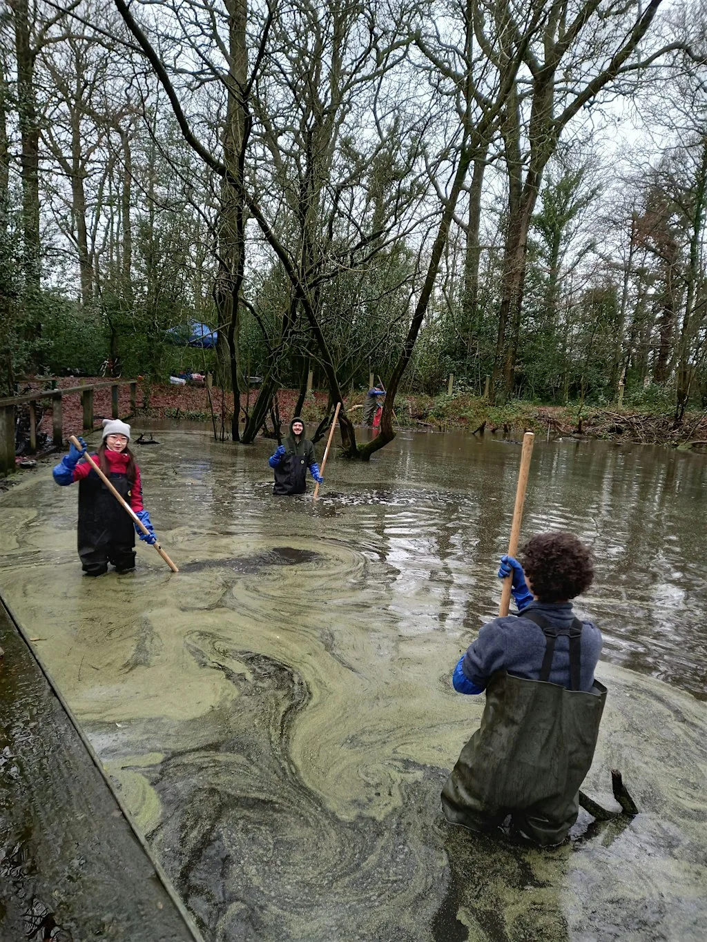 Woodland Green Skills: Pond Management at Hatchett's Wood, Manchester