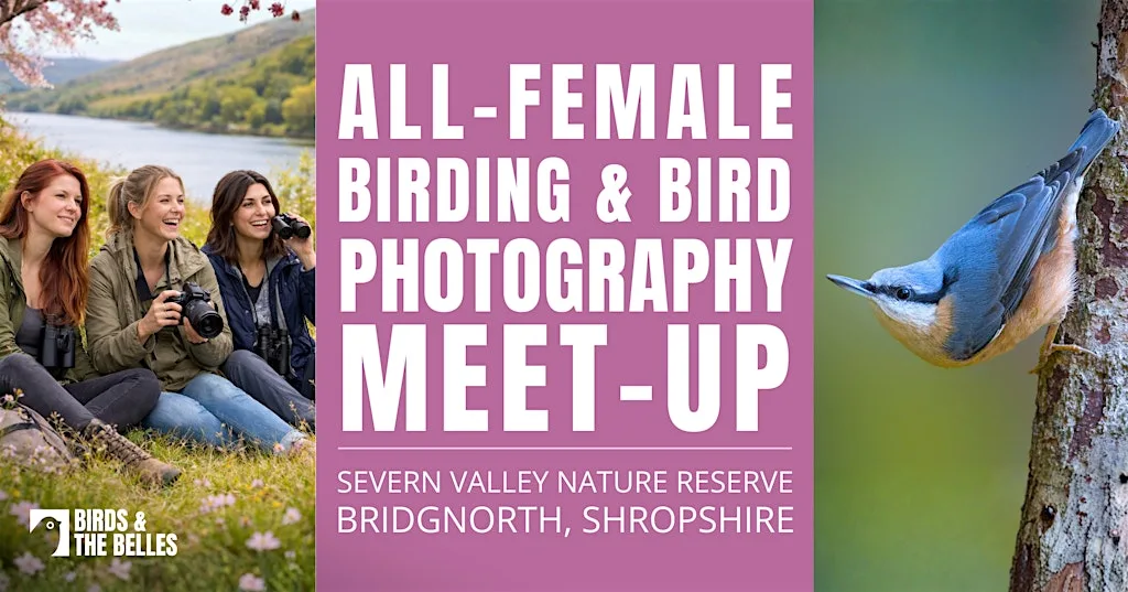 All-Female Birding & Bird Photography Morning at Severn Valley Nature Reserve