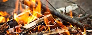 Stone Age Survival at Brockholes Nature Reserve - Thursday 13th August 2026 at Brockholes Nature Reserve