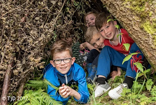 Woodland Survival at Mere Sands Wood Nature Reserve - Wednesday 26th August 2026