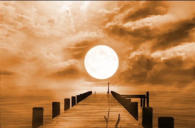 Moon Singles Walk - the Bull Island - late 20s to late 30s at The Wooden Bridge