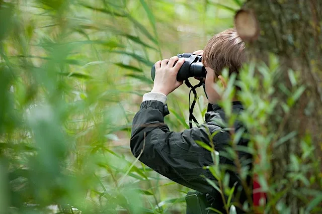 Victoria Park Wildlife Watch: Park Safari (July 2026) at Victoria Park