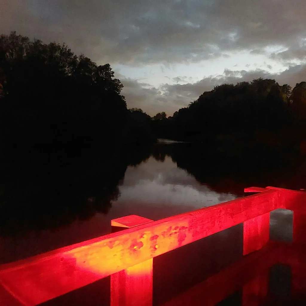 Worsley Woods Bat Walk at Beesley Green Community Centre