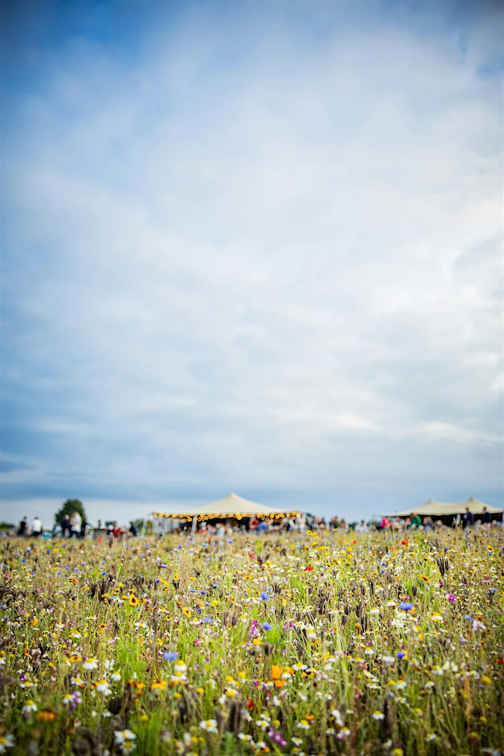 Resounding Wellness North - Sound Bath - The Flower Belt, Harrogate at The Flower Belt - Harrogate