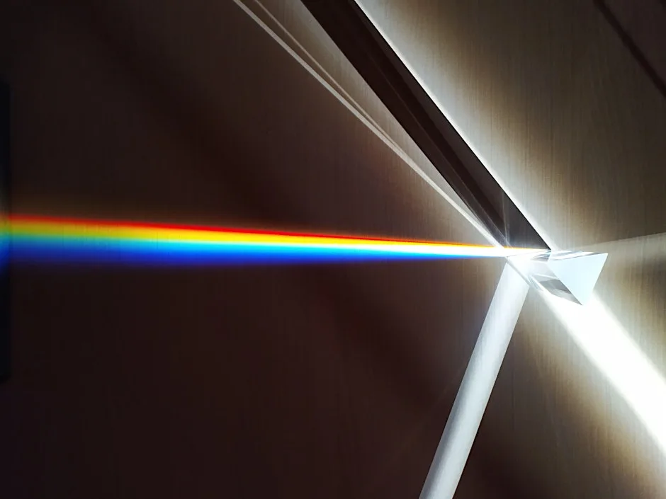 Prism Break (family) at The Royal Institution of Great Britain