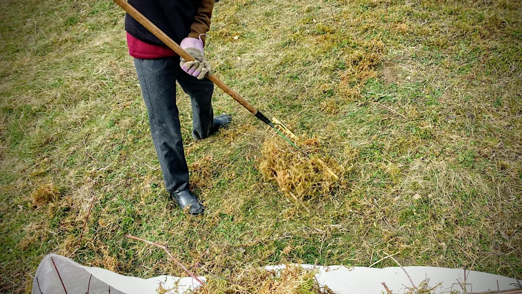 Raking & Rejoicing at Highfield and Hangingcroft