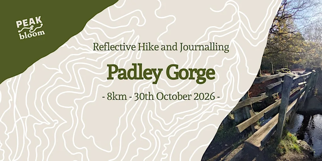 Padley Gorge | Peak District | Reflective Hike and Guided Journaling