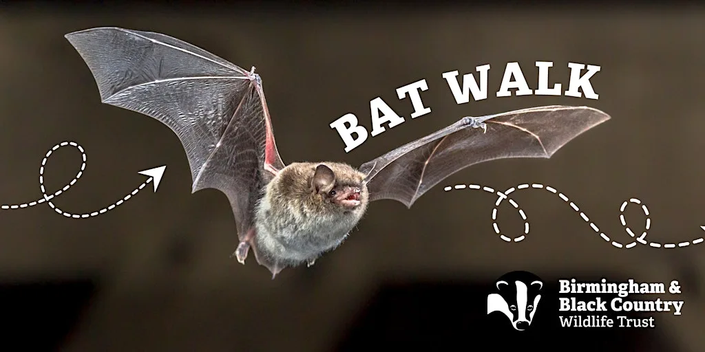 Bat Walk at Centre of the Earth