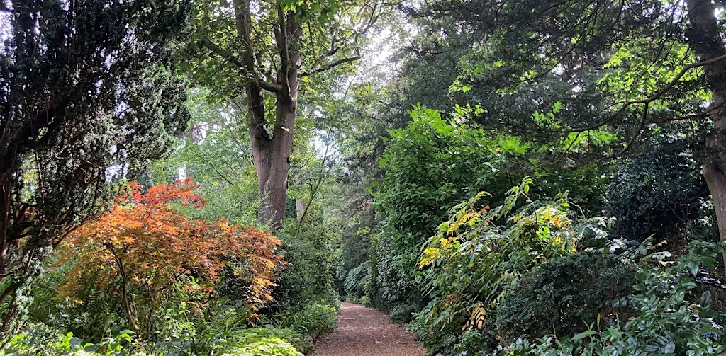 Trinity College Fellows’ Garden and Burrell’s Field Woodland Walk at Trinity College (Please meet at the Fellows’ Garden Gate, Queen’s Road ///strong.elder.wasp)