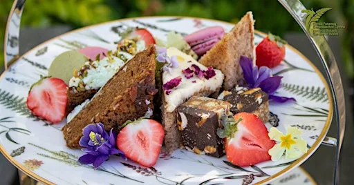 Autumn Leaves Afternoon Tea | Te Prynhawn Dail yr Hydref at National Botanic Garden of Wales | Gardd Fotaneg Genedlaethol Cymru