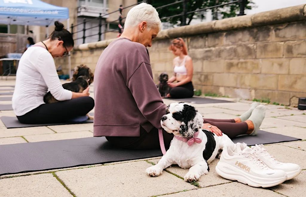 NE1's Dog on the Tyne - Yoga Class at Pitcher & Piano Newcastle