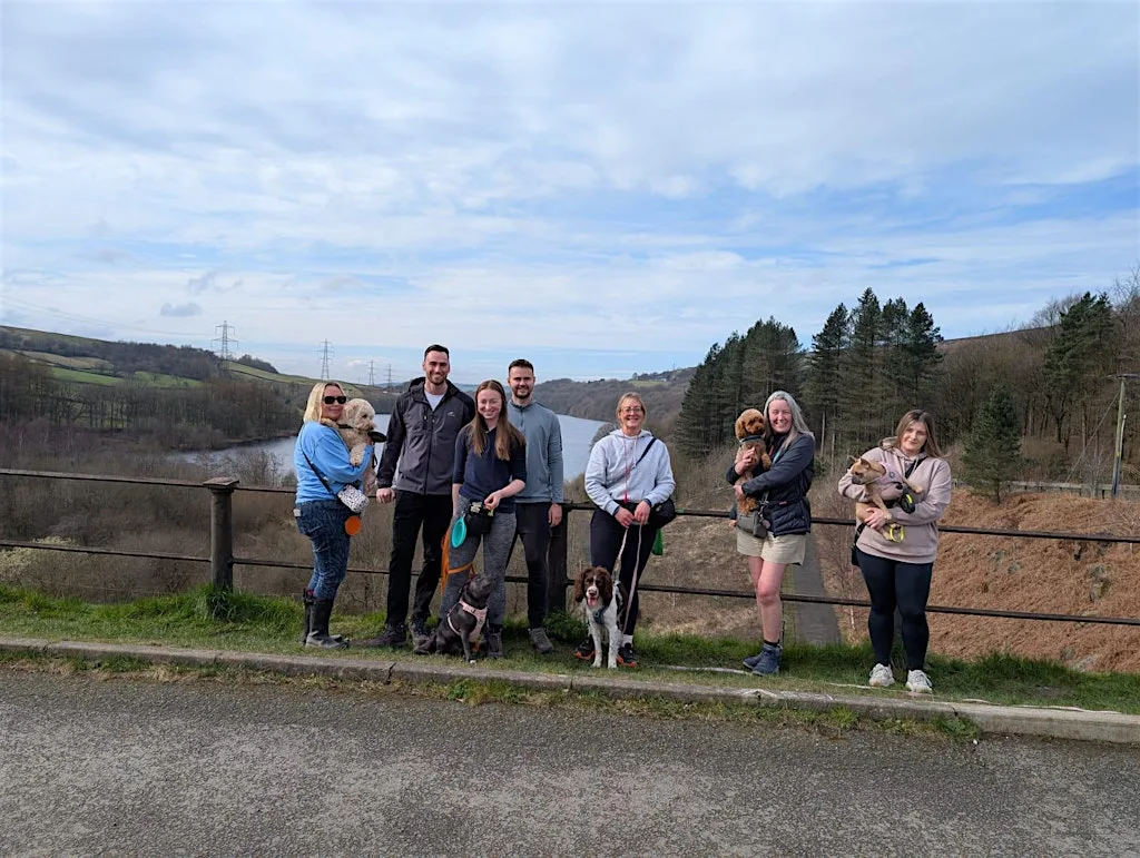 Group dog walk - Oxford