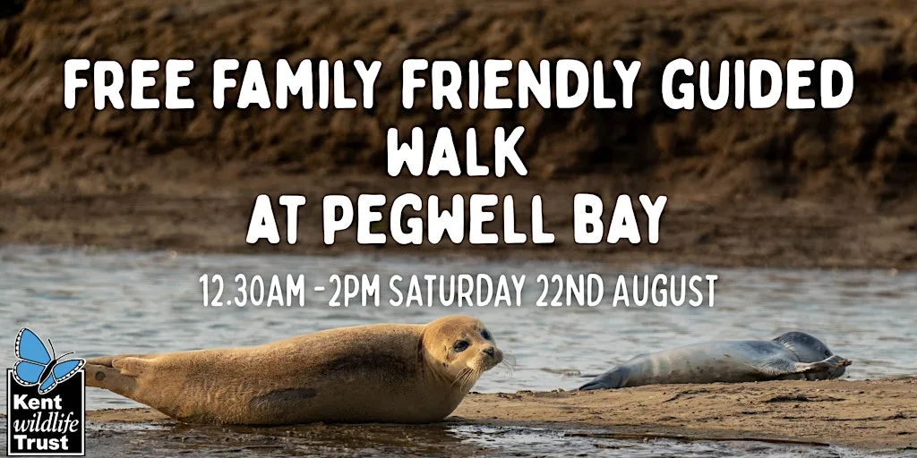 1 1/2 hour guided walk with Kent Wildlife Trust and Birdwise East Kent at Pegwell Bay Country Park