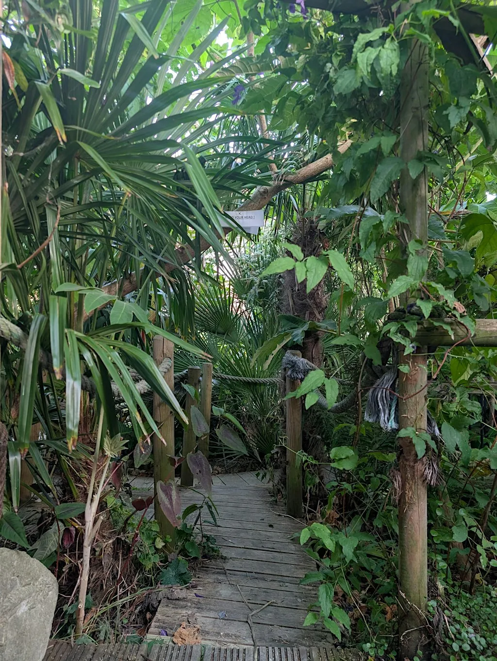 THE POCKET RAINFOREST™ OPEN GARDEN