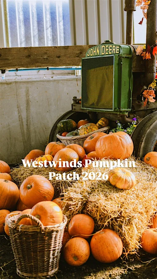Westwinds Pumpkin Patch - 1 ticket per car, not per person at Westwinds Patch