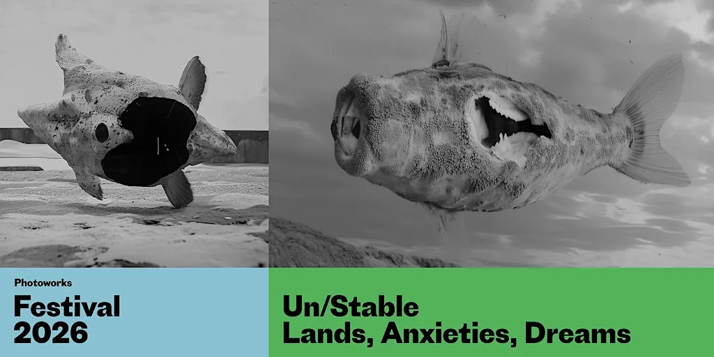 Conference : Un/Stable: Lands, Anxieties, Dreams at School of Art, University of Brighton