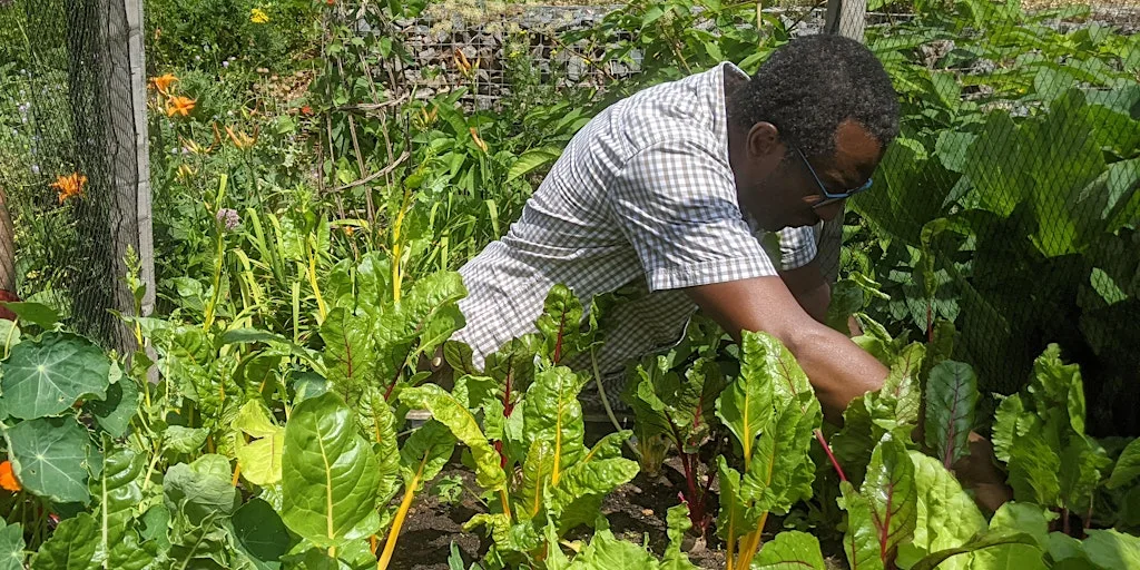 Volunteer Taster Session at St Ann's Allotments