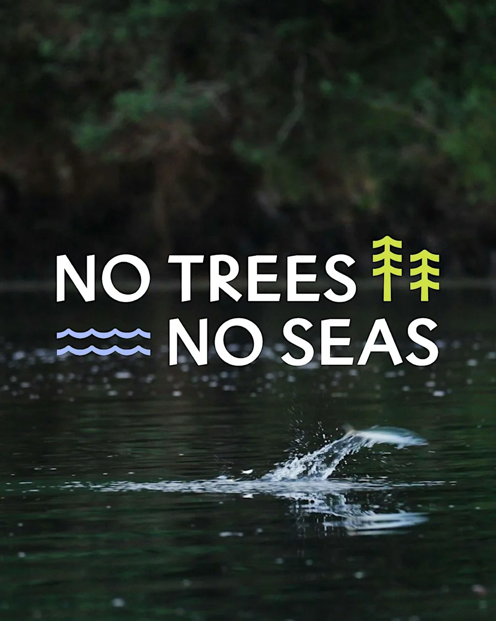 No Trees No Seas Film Screening