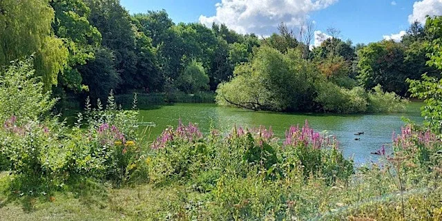Wellbeing walk for bereaved parents - October session at Colwick Country Park