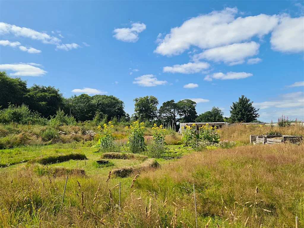 Plant Allies Immersion: Mint at Lauriston Farm