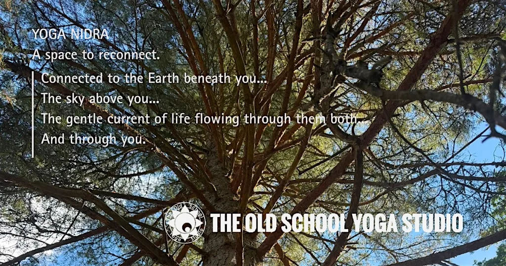 Yoga Nidra : Resting Presence at Old School Yoga Studio