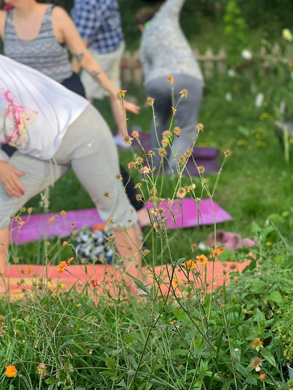 Wild & Well - Yoga with Bella Gaia at Growing Works