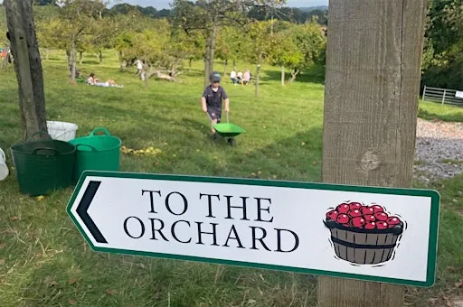 The Big Pick & Cider Fest - Family Weekend