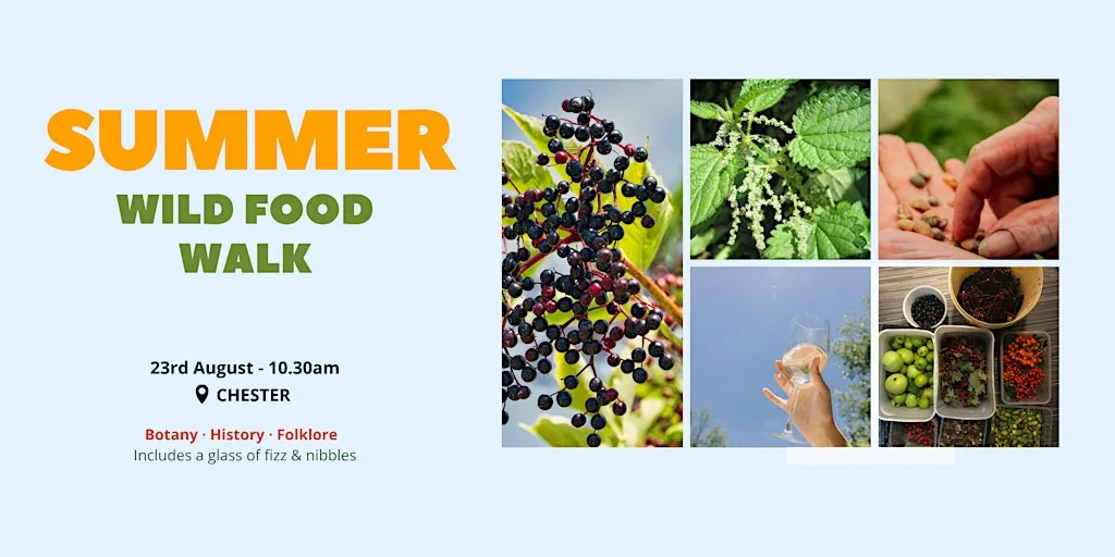 Wild Food Walk ☀️ Celebrate Summer