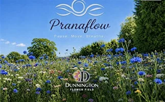 Breathwork with PranaFlow at Dunnington Flower Field