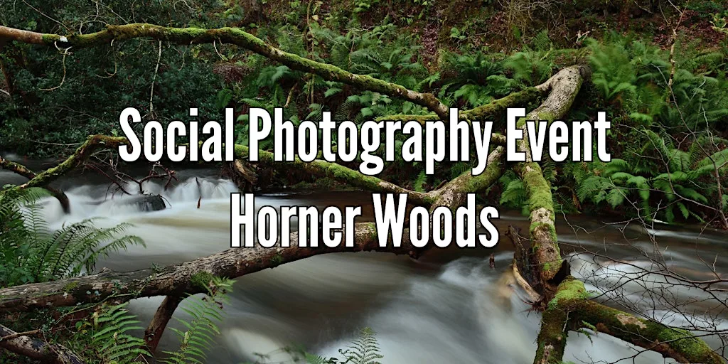 Photography Social: Exploring Horner Woods Exmoor at Horner Wood