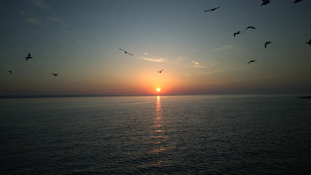 Caldey Island Solar Eclipse Experience