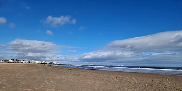 Little Tern Farewell Beach Clean - Seaton Carew Beach at Seaview Car Park