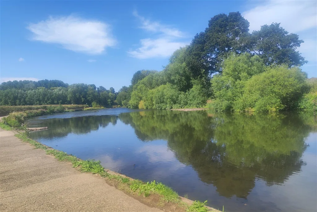 Source to Sea: Riverside Park Litter Pick