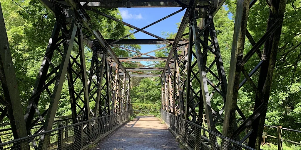 Wellesley Woodlands Evening Health Walk - Claycart Carpark at Claycart Car Park off Fleet Road (see event details for exact location, don't use postcode)