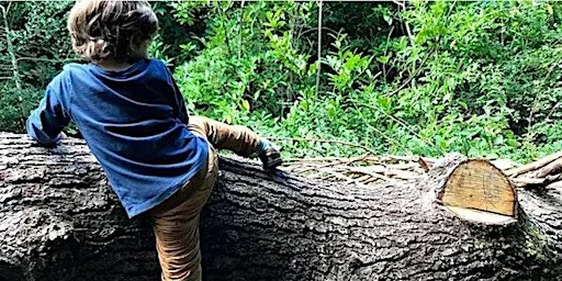 Family Woodland Quest & Adventures at Kingsbury Water Park at Kingsbury Water Park