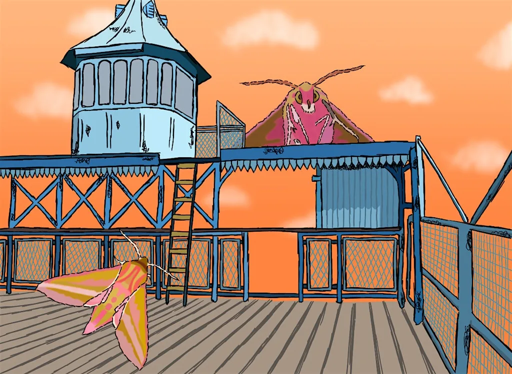 Moths and Munchies! at Newport Transporter Bridge