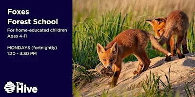 Foxes Forest School (Ages 4-11)- Autumn Term 2026 at The Hive