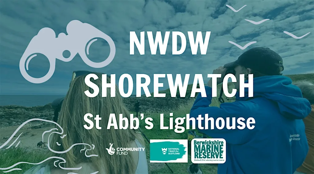 NWDW Shorewatch with NTS: St Abb's Lighthouse