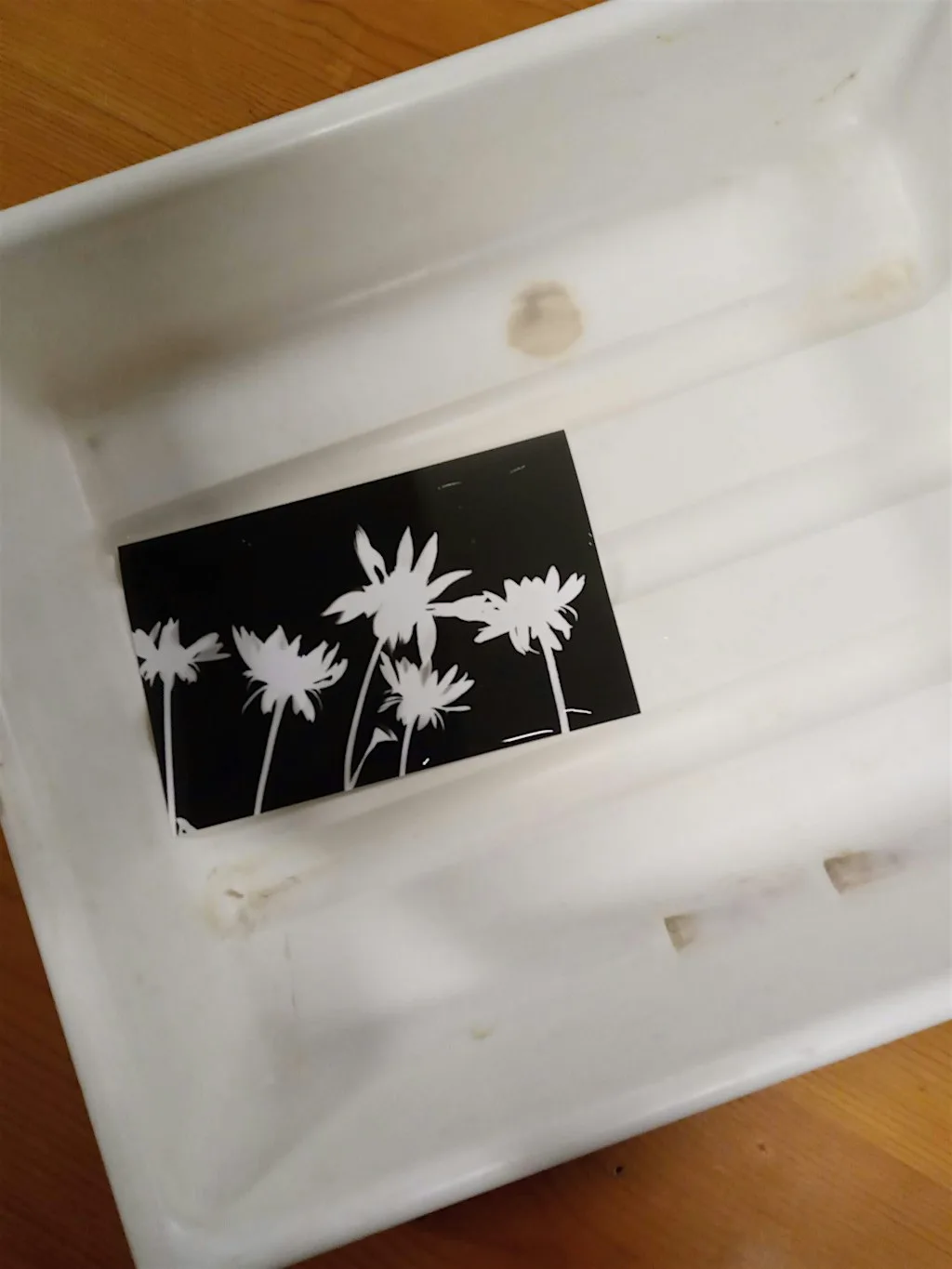 Pop Up Darkroom with Plant Based Developer - Session 1 at Cliffe Castle