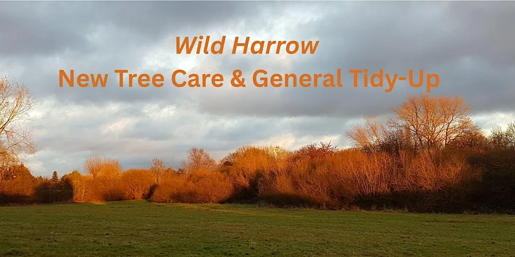 Conservation Working Party: New tree care & tidy at Roxbourne Park