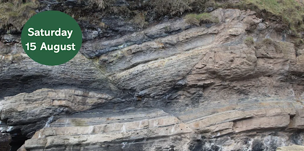 Geology at Howick