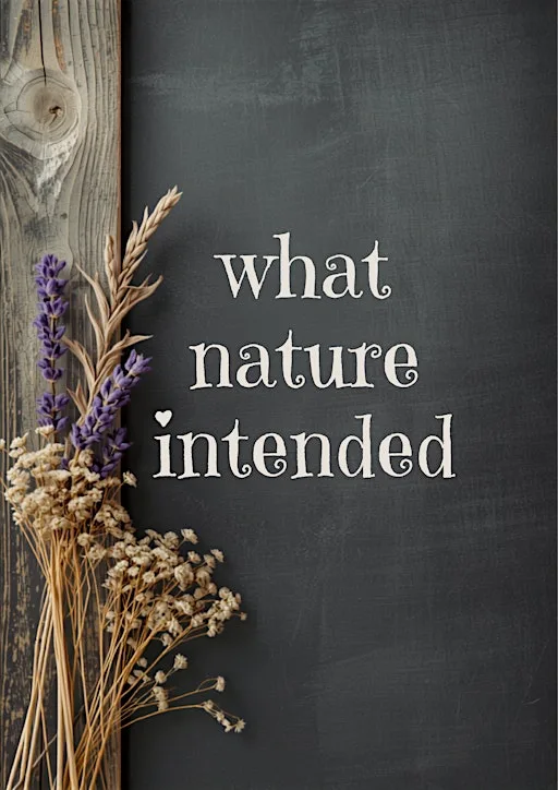 What Nature Intended at Cwmparc Family Wellbeing Hub
