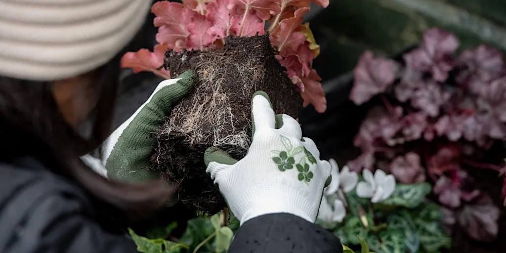 RHS Garden Harlow Carr Career Taster Event at RHS Garden Harlow Carr