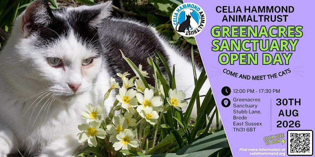 Celia Hammond Animal Trust | Greenacres Sanctuary Open Day