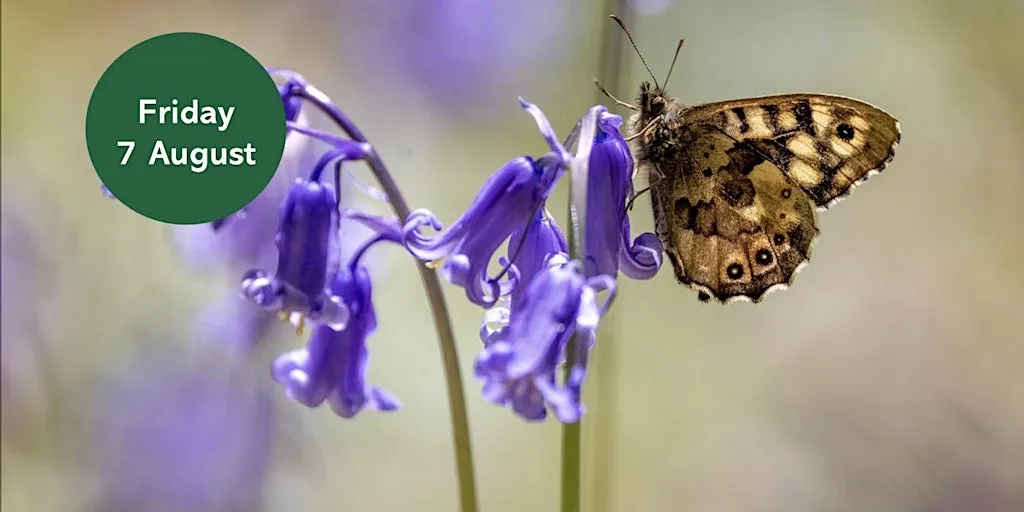 Ouse Burn Way: Butterfly Walk at Woolsington Parish Ponds (Lily Pond)