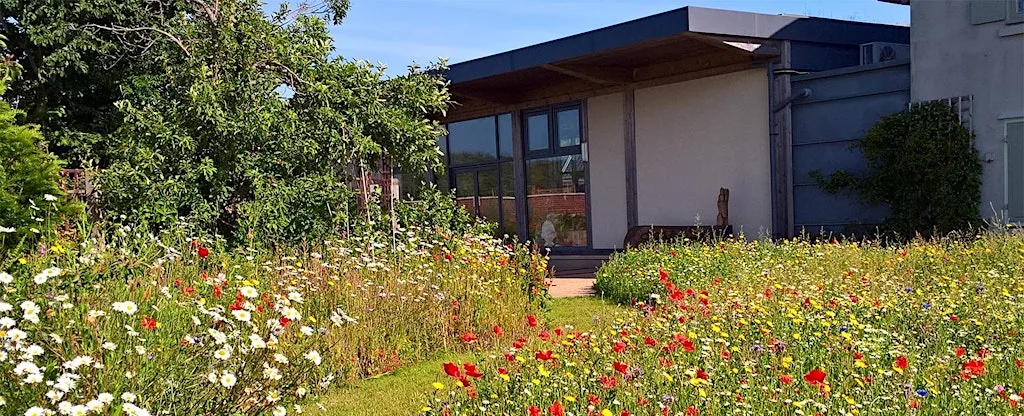 Music day at Hengistbury Head Visitor Centre at Hengistbury Head Visitor Centre